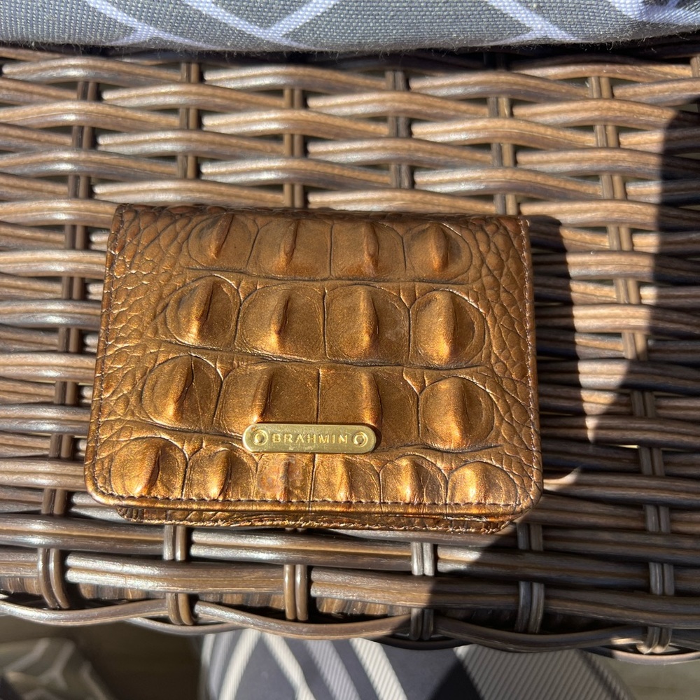 Small Brahmin Wallet